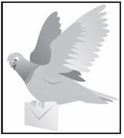 graphic of carrier pigeon